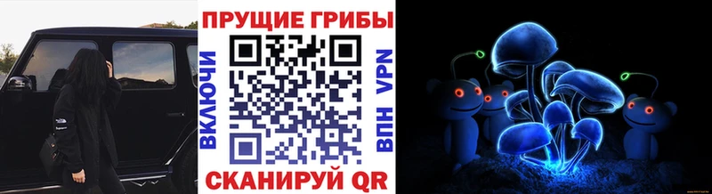 где продают наркотики  Ершов  Псилоцибиновые грибы ЛСД 